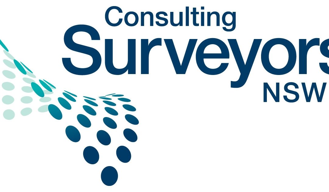 Consulting Surveyors