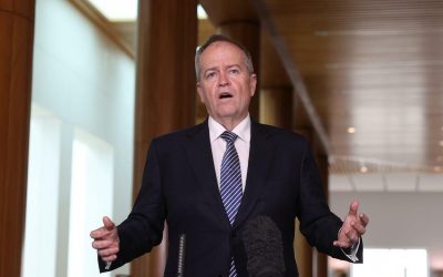 Disability Reform: Will Minister Shorten live up to the needs of the industry?